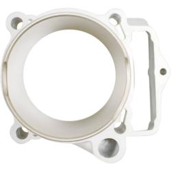 CYLINDER WORKS 510071