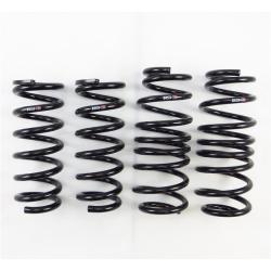 RSR Down Sus Springs RS-R N122D