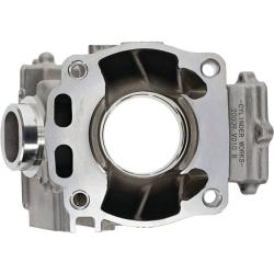 CYLINDER WORKS 20009