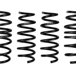 EIBACH E102010020122