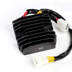 RICKS MOTORSPORT ELECTRICS 10009H