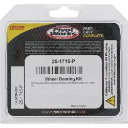 Pivot Works 25-1715-P