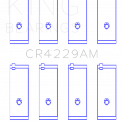 KING ENGINE BEARINGS CR4229AM