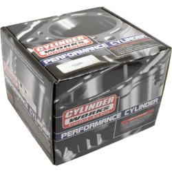 CYLINDER WORKS 310011
