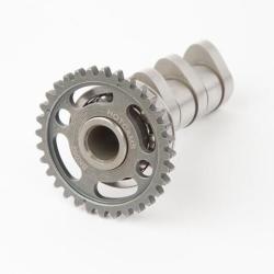 Hot Cams 4002-1IN