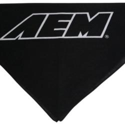 AEM Induction 01-1501