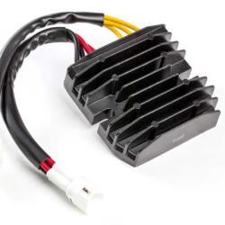 RICKS MOTORSPORT ELECTRICS 10207