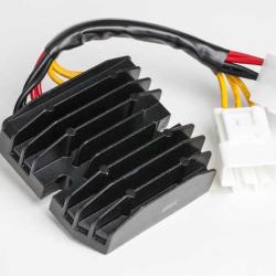 RICKS MOTORSPORT ELECTRICS 10134H