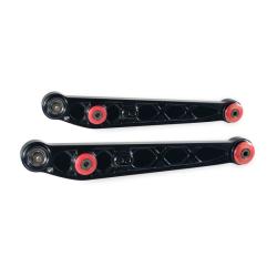 Skunk2 Racing 542-05-1295