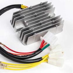 RICKS MOTORSPORT ELECTRICS 10214