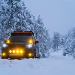 RIGID INDUSTRIES 262214