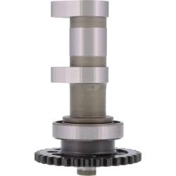 Hot Cams 2082-1E