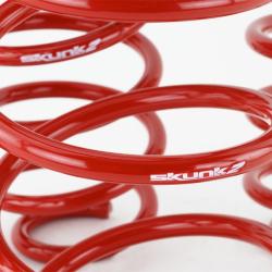 SK Lowering Springs Skunk2 Racing 519-05-1775
