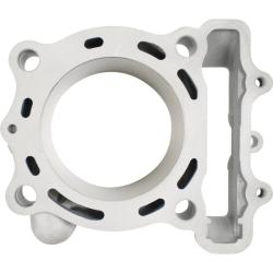 CYLINDER WORKS CW30016K01