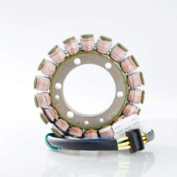 RICKS MOTORSPORT ELECTRICS 21205