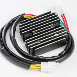 RICKS MOTORSPORT ELECTRICS 10131