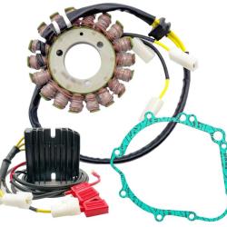 RICKS MOTORSPORT ELECTRICS 99300