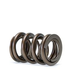 SKUNK2 RACING 311051380