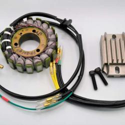 RICKS MOTORSPORT ELECTRICS 99201H