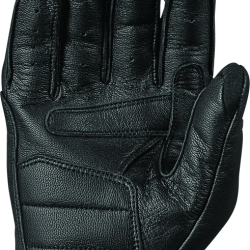 SPEED AND STRENGTH 880460