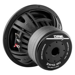 DS18 ZXI12.2D