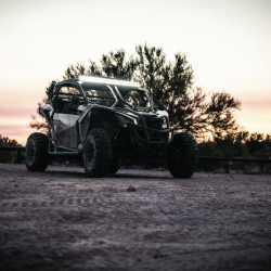 DRAGONFIRE RACING 521481