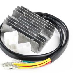 RICKS MOTORSPORT ELECTRICS 10136