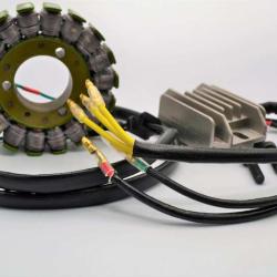 RICKS MOTORSPORT ELECTRICS 1499201H