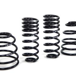 HR Sport Springs H&R 29513