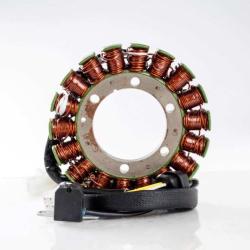 RICKS MOTORSPORT ELECTRICS 21810