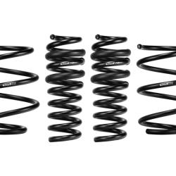 EIBACH E102030040122