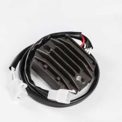 RICKS MOTORSPORT ELECTRICS 10020