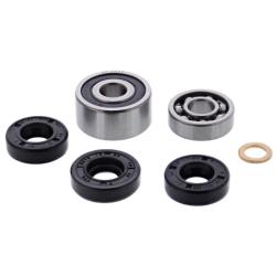 VERTEX PISTONS 721213