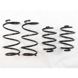 RSR Down Sus Springs RS-R N205D