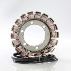 RICKS MOTORSPORT ELECTRICS 21316