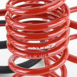 Skunk2 Racing 519-05-1672