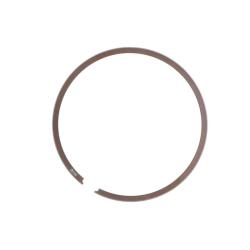 Athena S41316209