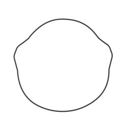 VERTEX PISTONS 817200