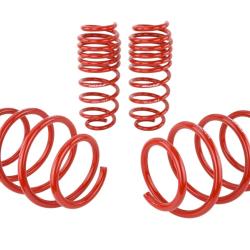 SK Lowering Springs Skunk2 Racing 519-05-1775
