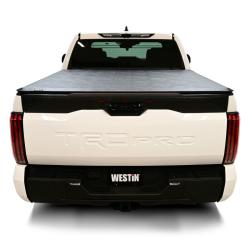 Westin 19-10285