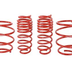 SK Lowering Springs Skunk2 Racing 519-05-1775