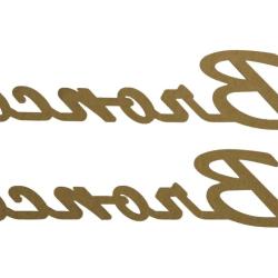 FORD RACING M1447BSGS