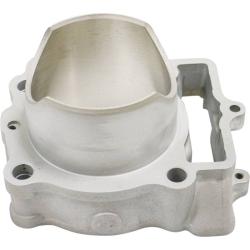 CYLINDER WORKS CW310171