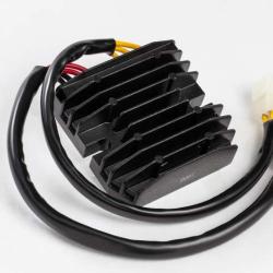 RICKS MOTORSPORT ELECTRICS 10205H