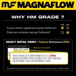 MAGNAFLOW 21521