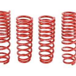 SK Lowering Springs Skunk2 Racing 519-05-1660