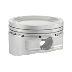 CP PISTONS SC75204