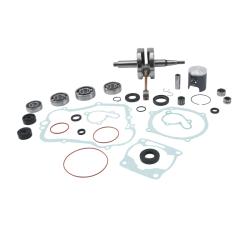VERTEX PISTONS WR101124