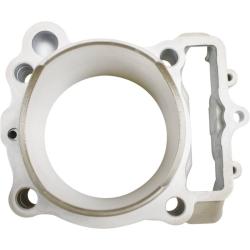 CYLINDER WORKS CW310161