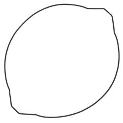 VERTEX PISTONS 817685